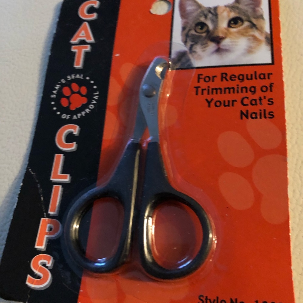 CATS 🐈 - Picture 5 of 5